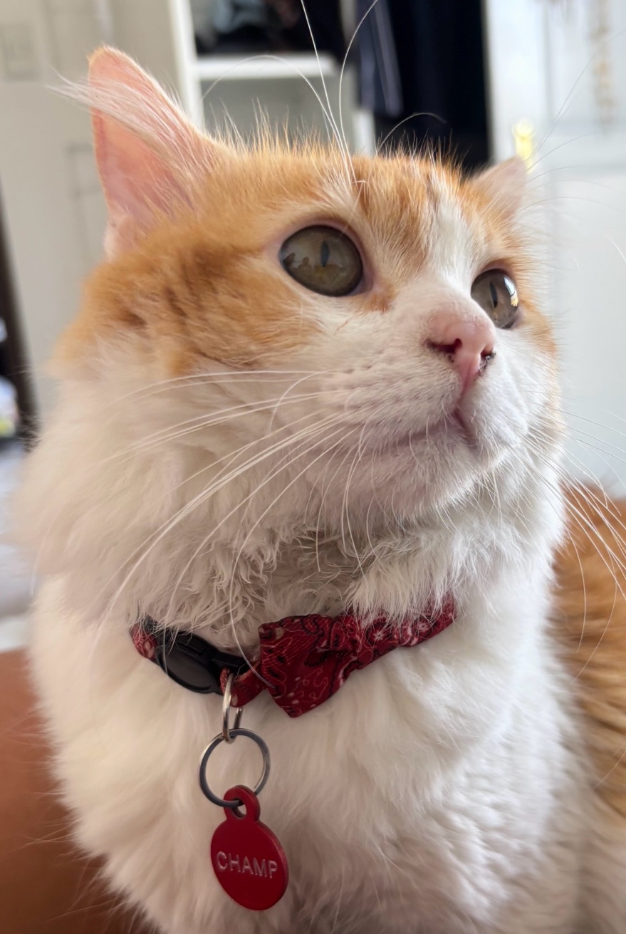 Champ — Payroll Specialist & Final Reviewer